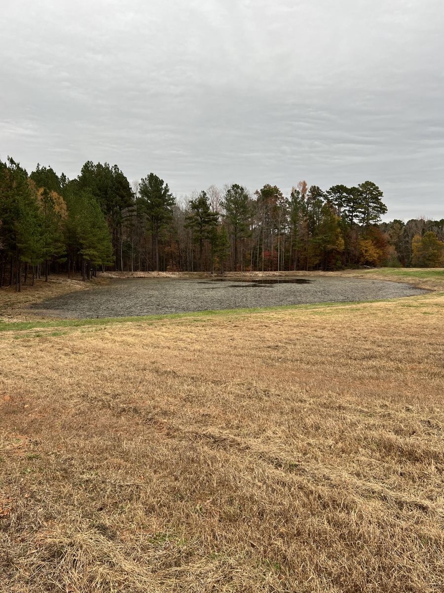 Cleared, mulched land after brush removal near Oxford, NC