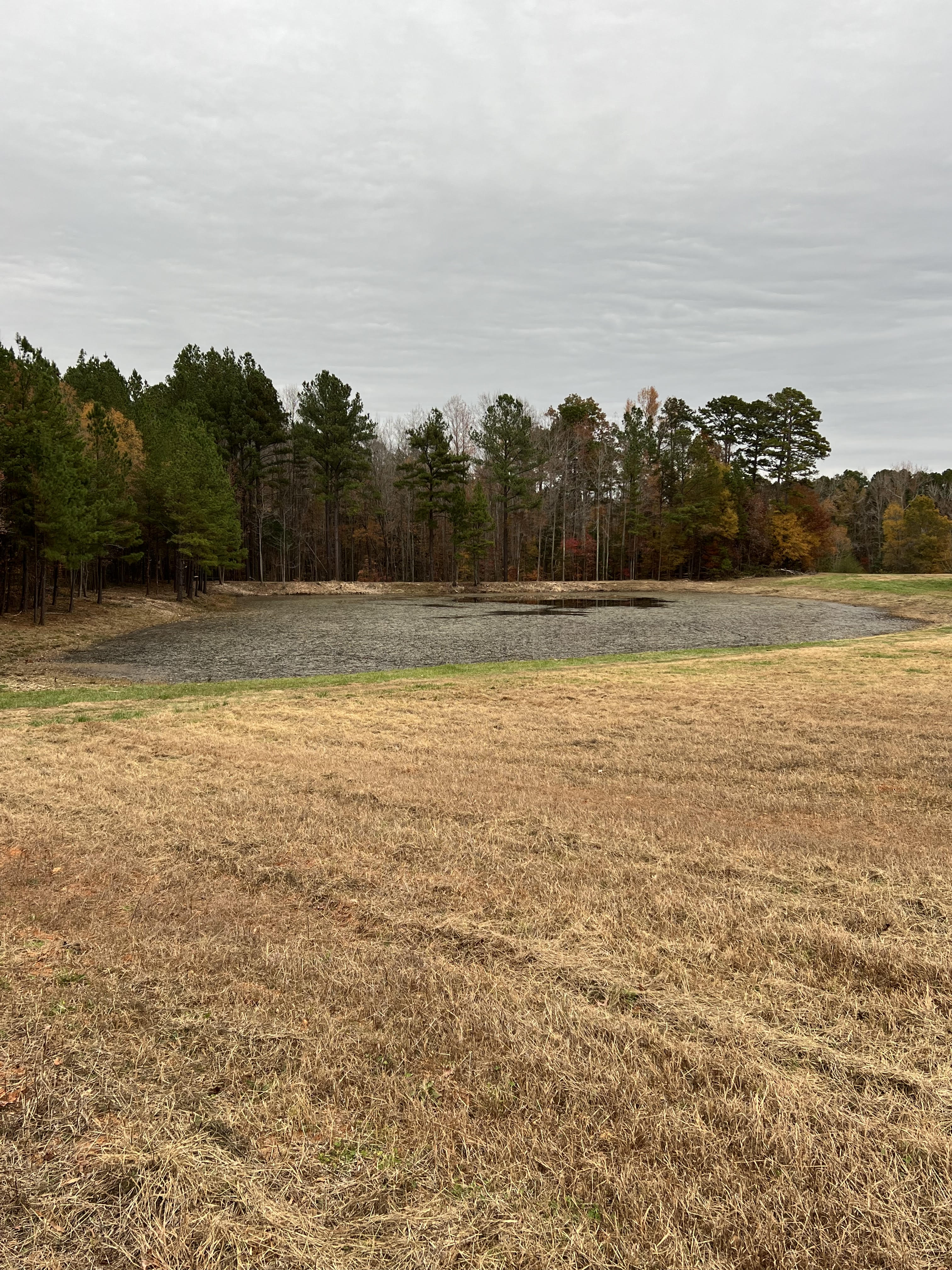 After land clearing - Job 1