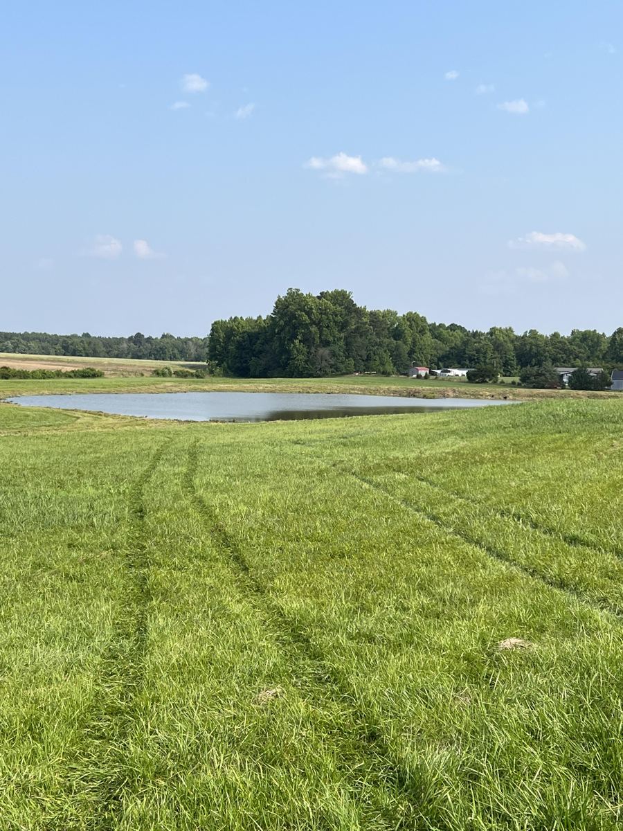 Clean fence line after brush clearing in Granville County, NC