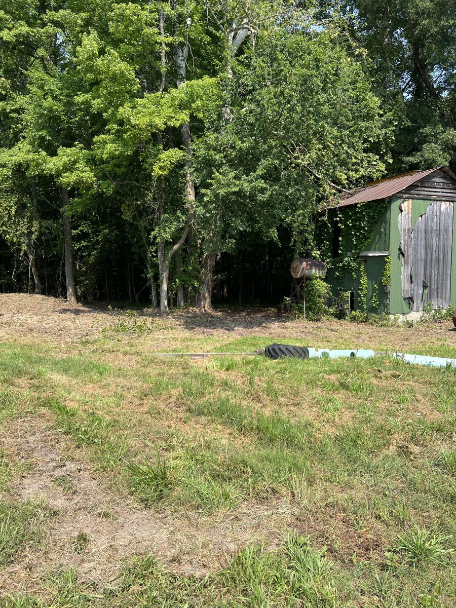 Reclaimed open field after forestry mulching near Oxford, NC
