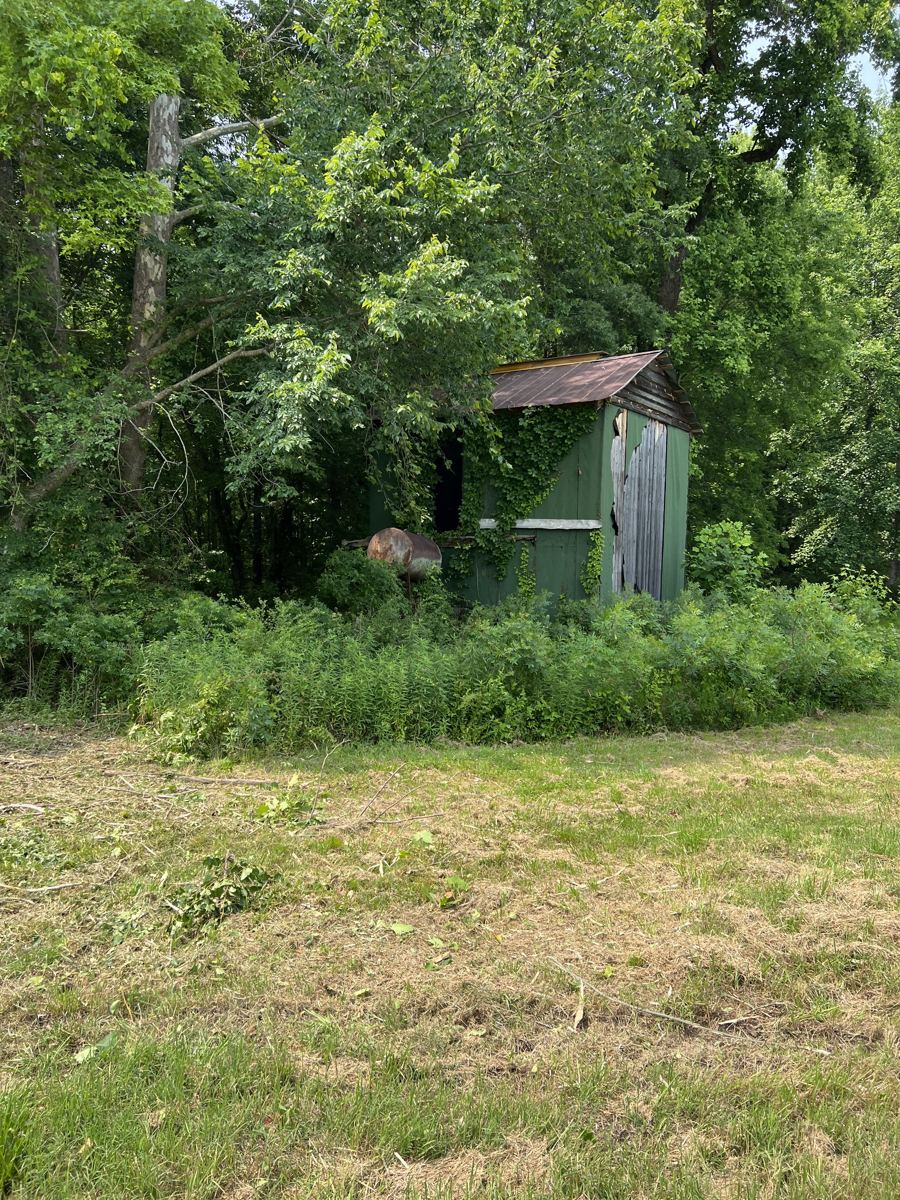 Overgrown field before reclamation and mulching near Oxford, NC
