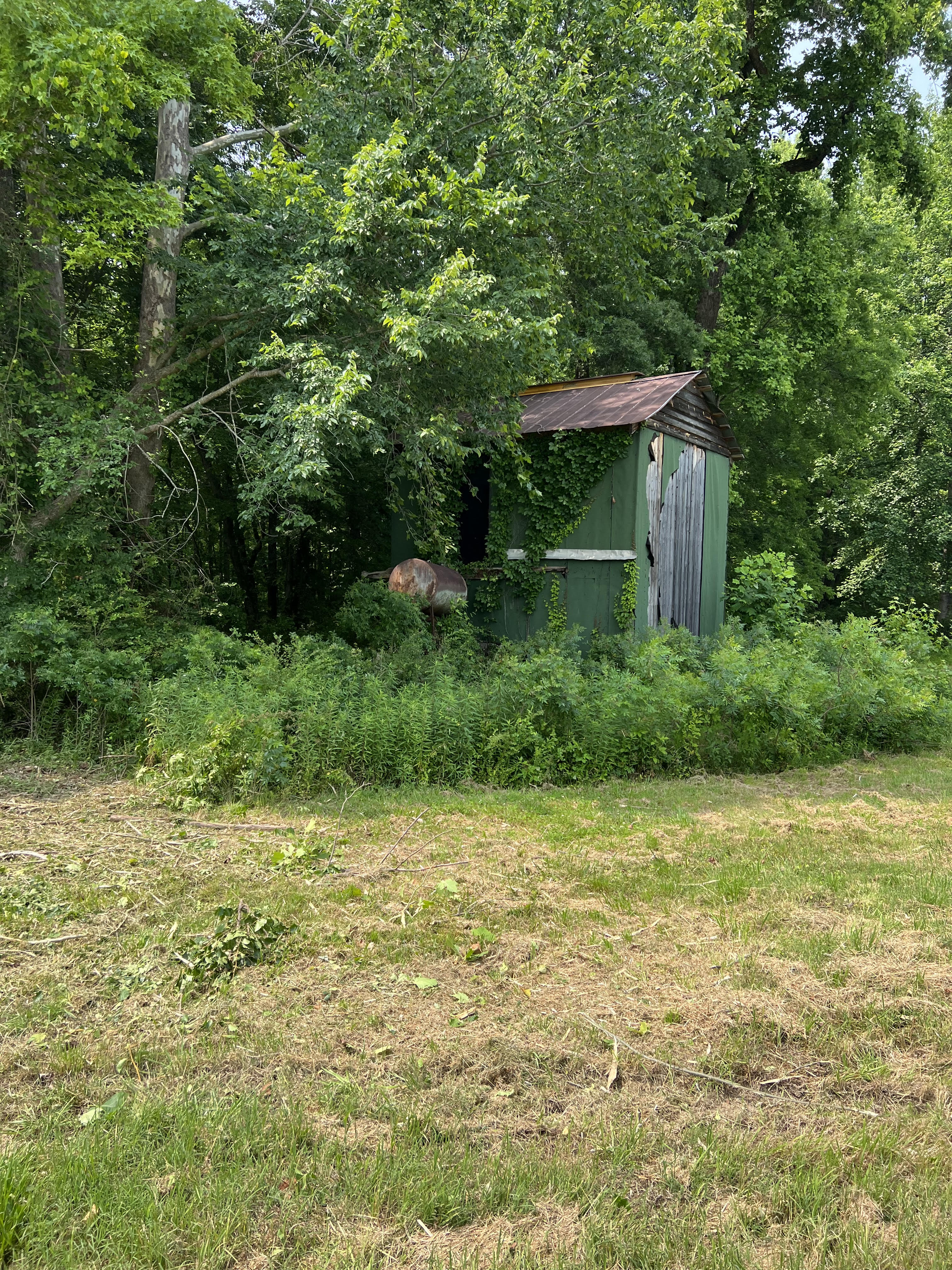 Before land clearing - Job 3
